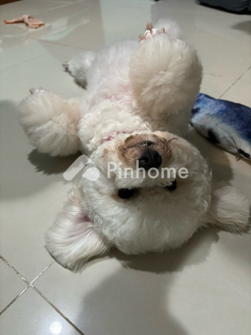 dijual rumah aries permai di aries permai - 2