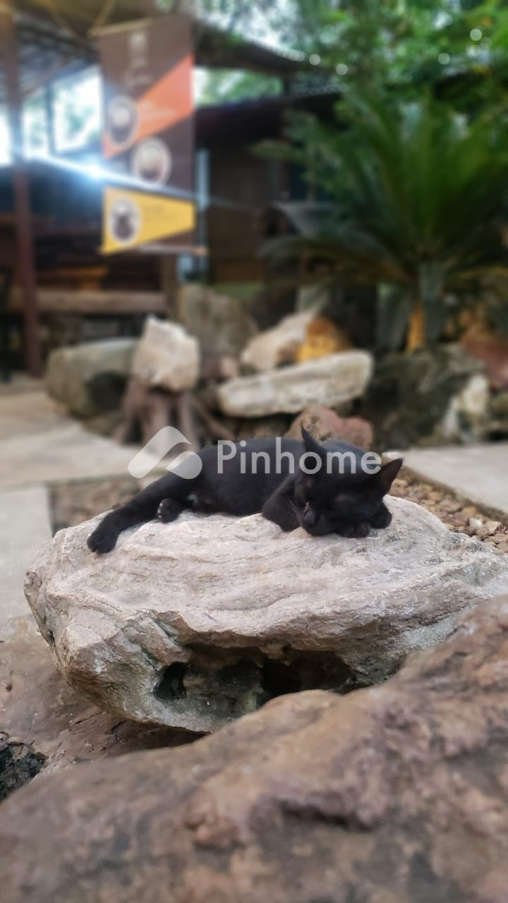 dijual rumah 1kt 60m2 di jalan kecil - 1
