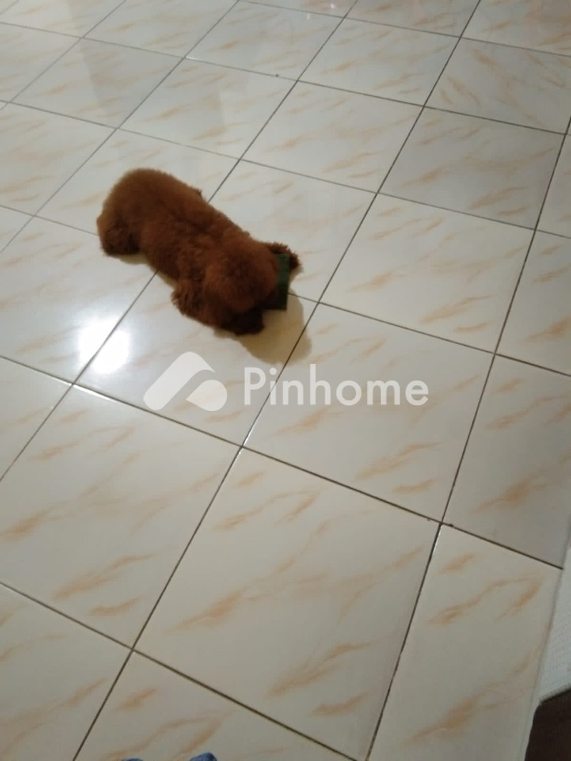 dijual rumah di jalan jendral urip sumoharjo - 1