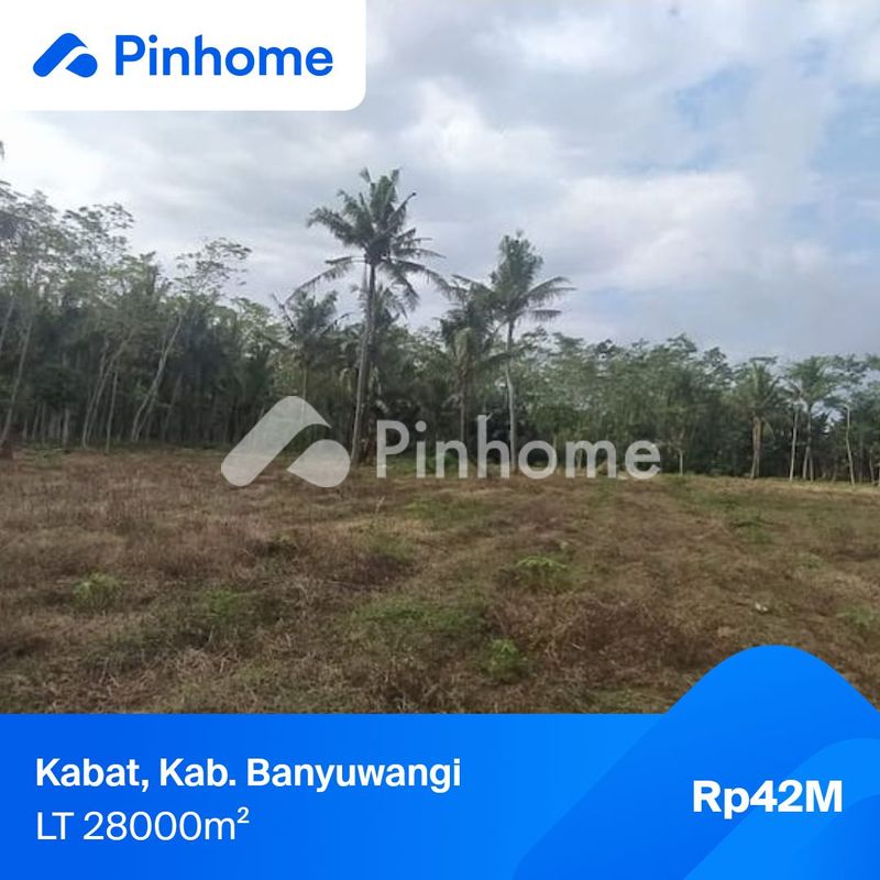 dijual tanah residensial jejskjxd di suka makmur - 2