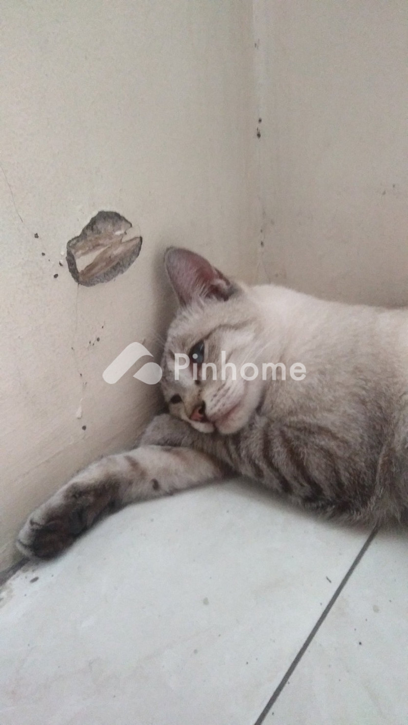 dijual apartemen di caturtunggal  catur tunggal - 2