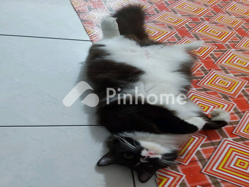dijual apartemen 1m2 di west coast residence - 1