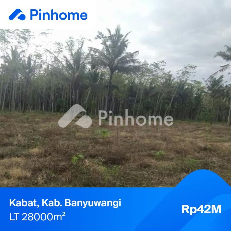 dijual tanah residensial jejskjxd di suka makmur - 1
