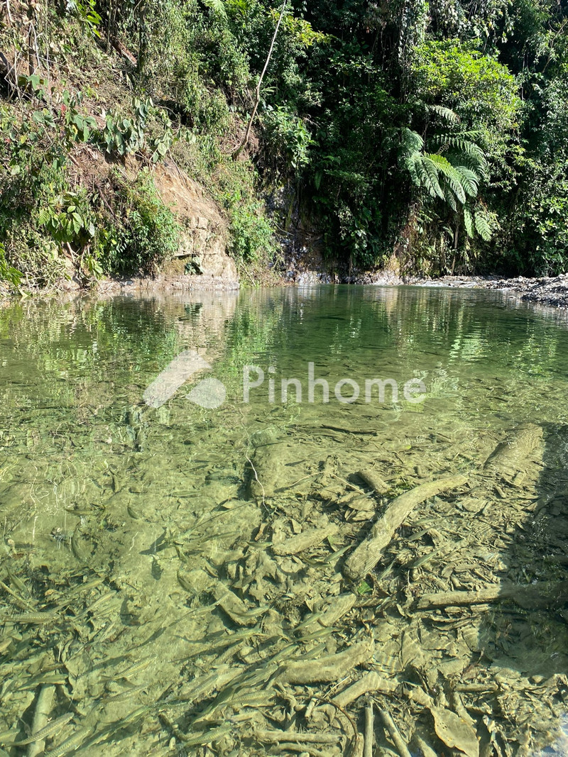 disewakan rumah  di fortune spring iii - 2