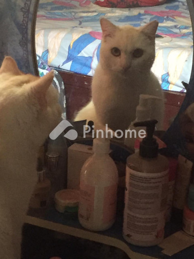 dijual apartemen 100m2 di cat apart