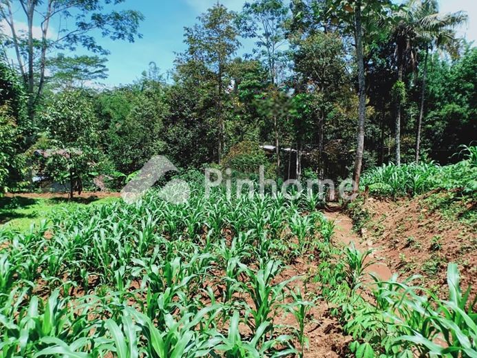 dijual tanah komersial lelang bebas banjir di jl  kel  rum - 6