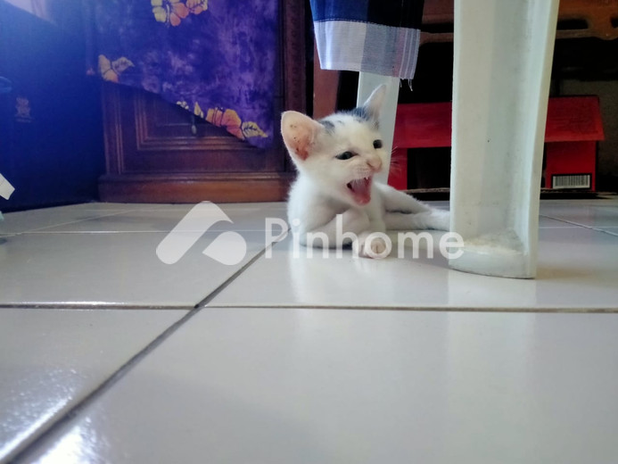 dijual rumah 198jt di matangkuli
