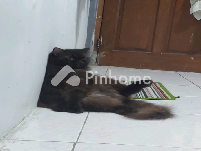 dijual apartemen 1m2 di g - 2