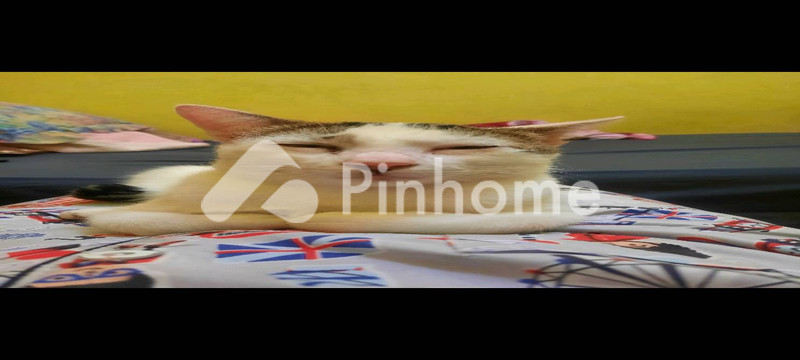 dijual rumah 5kt 400m2 di jalan foto kucing - 1