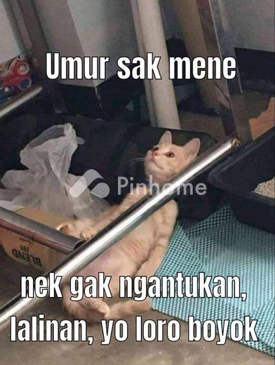 disewakan rumah  di cengkareng barat - 3
