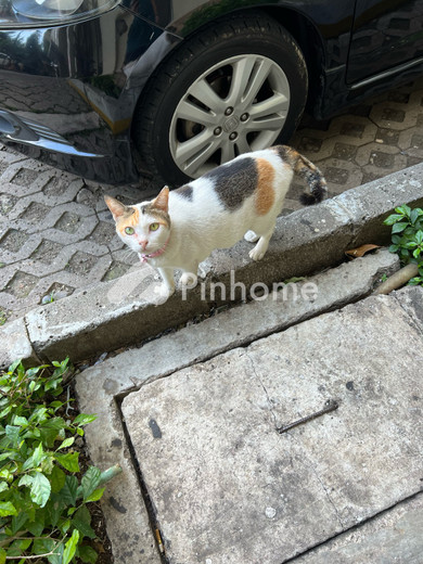 dijual ruko mevvah 2 di alue piet - 3