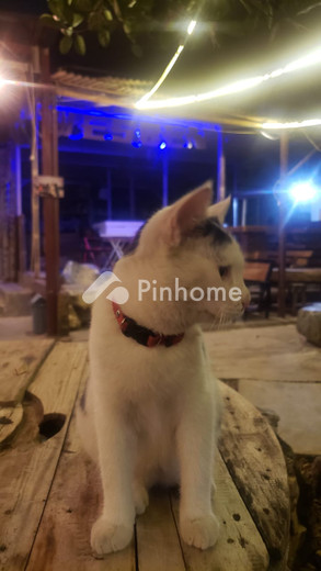 dijual rumah 3kt 900m2 di jalan tengah rel - 7