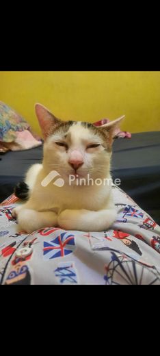 dijual apartemen macbook air m1 ram 8gb di macbook air - 3