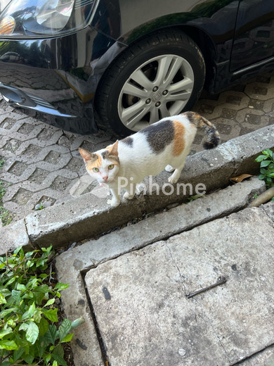 disewakan rumah kskdkddj di ujung sialit - 1