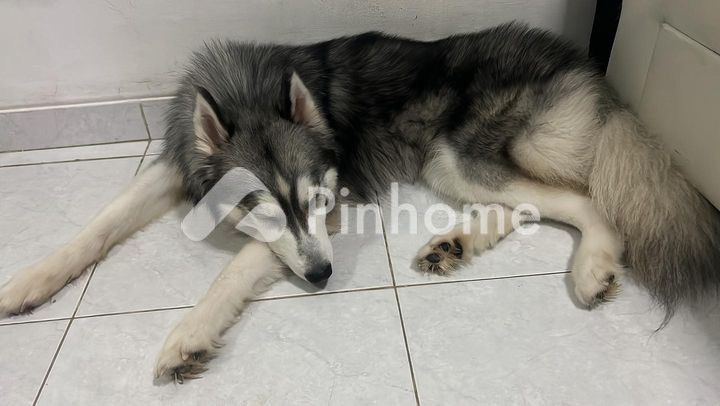 dijual apartemen coba data terbaru dulu di manggarai selatan - 5