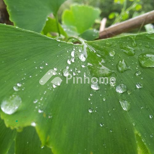dijual rumah di kebon melati - 3