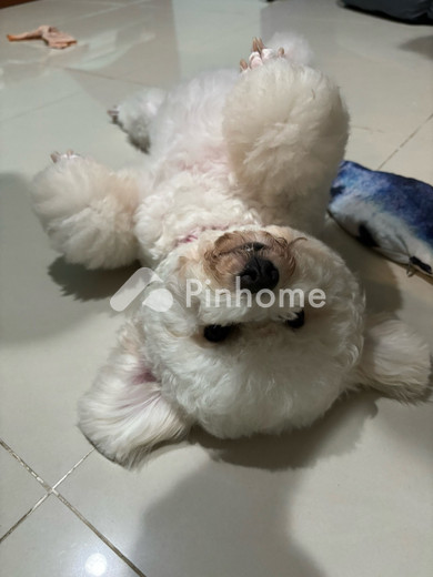 dijual rumah aries permai di aries permai - 1