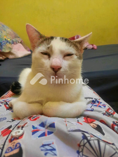 dijual rumah di mekar jaya - 1