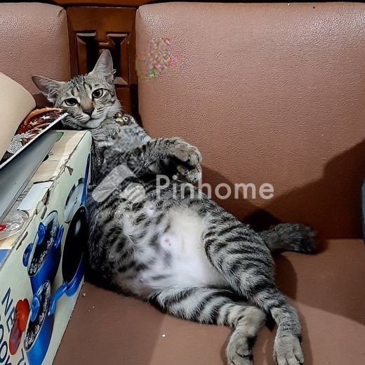 dijual rumah di pasar baru - 6