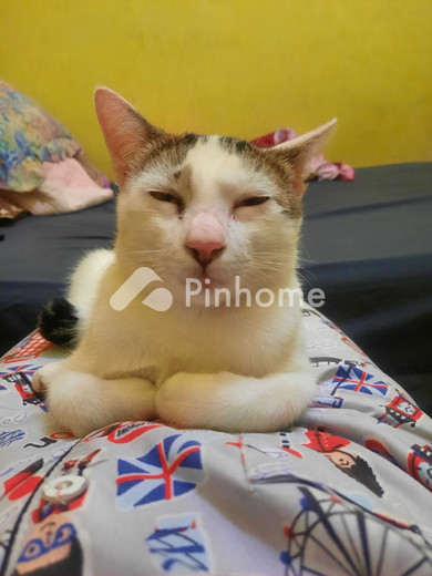 dijual apartemen di apartemen suka saja - 4