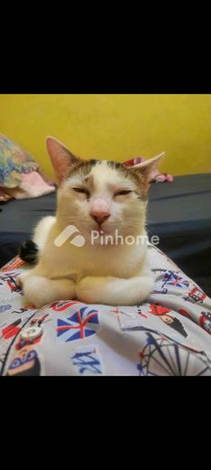 dijual 123m2 di gambir