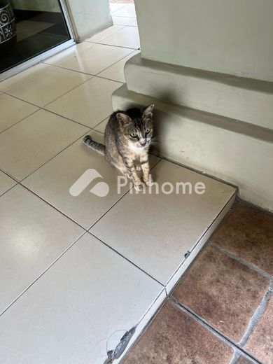 dijual tanah residensial jhujjjj di lawe buluh didi - 3