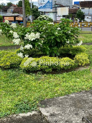 dijual rumah mantul di jl gringsing - 3