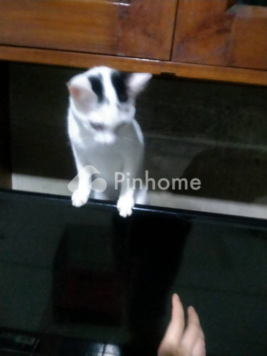 dijual rumah test1 di bekasi selatan - 3