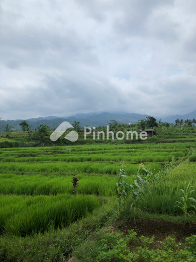 dijual apartemen disini di apartemen maltras - 4