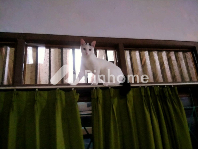 dijual tanah komersial viral 2022 di buntu pane - 1