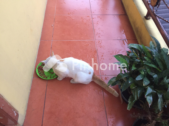 disewakan rumah 3 lantai 3kt 12m2 di krueng sabee - 1