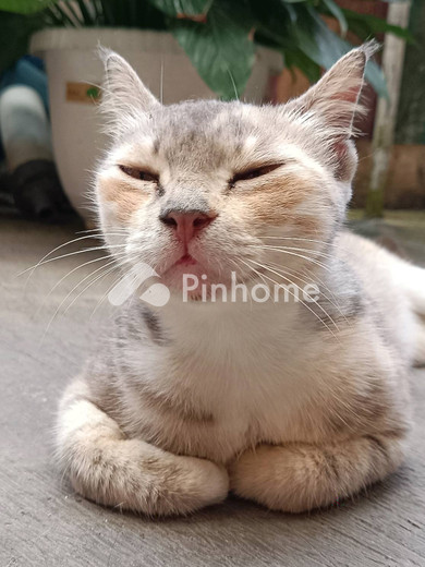 kost gozu forea nyaman di tebet timur - 4