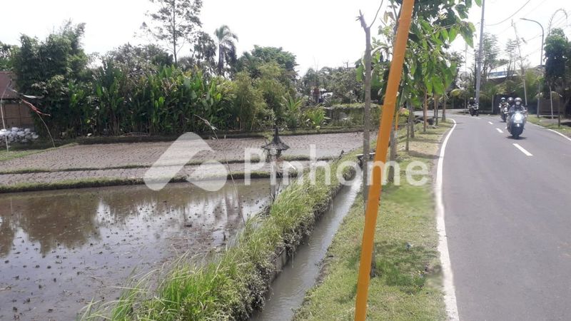dijual tanah residensial ramah di jogotirto  jogo tirto - 3