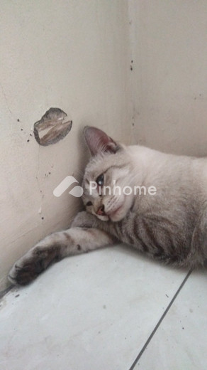 dijual apartemen di caturtunggal  catur tunggal - 2