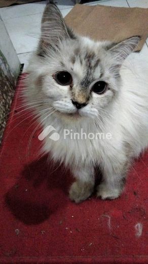 dijual tanah komersial 20m2 di bies