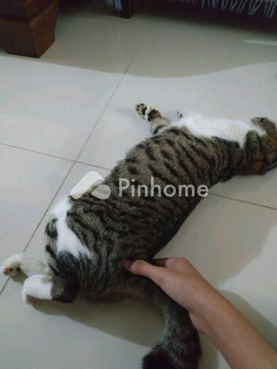 dijual tanah komersial banget loh di jalan ke pasar minggu - 3