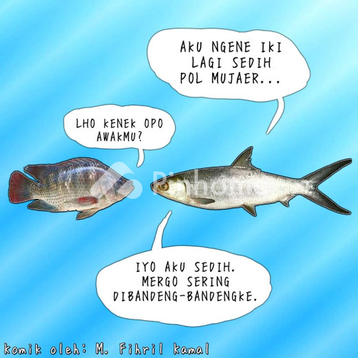 disewakan kost di bangunharjo - 3