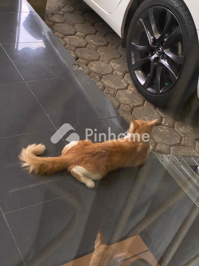 dijual rumah ssjsjsj di keumuneng lhok - 2