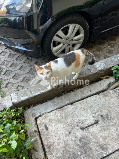 dijual tanah residensial jhujjjj di lawe buluh didi - 2