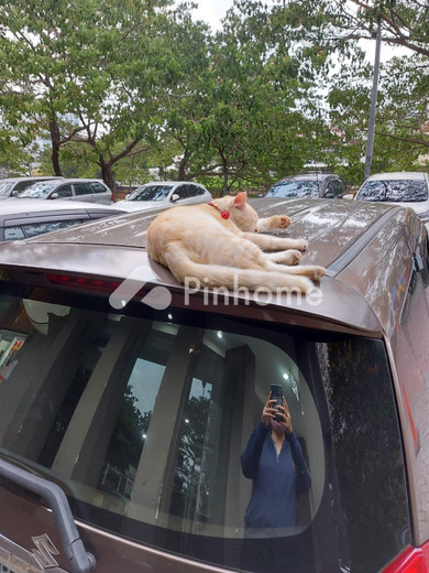 dijual rumah baru murah meriah di jalan serma - 4
