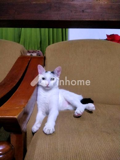 dijual tanah komersial hai all di kenangan - 3