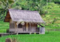 Pilihan Pinhome: Sarif Tenjo-Tenjoan - Thumbnail 2