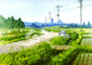 Rumah Keluarga Cemara - Thumbnail 4