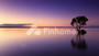 DQA Apartemen with no banner - Thumbnail 2