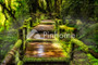 Moro moro podo land - Thumbnail 1