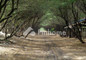 Testing Dev 4 - Thumbnail 1