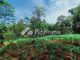 Dijual Tanah Residensial Lokasi Bagus di SteetBulk3 - Thumbnail 1