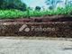Dijual Tanah Residensial Lokasi Bagus di SteetBulk3 - Thumbnail 5