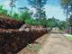 Dijual Tanah Residensial Lokasi Bagus di SteetBulk3 - Thumbnail 6
