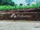 Dijual Tanah Komersial Lelang Bebas Banjir di Jl. Kel. Rum - Thumbnail 2